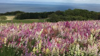 淡路島の自然を楽しむスポット