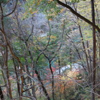 部屋からの鬼怒川