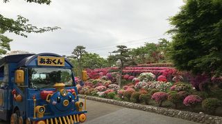 総合レクリエーション公園／葛西