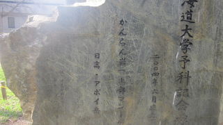 実は裏側が正面みたいなデザインになっています(^^;)