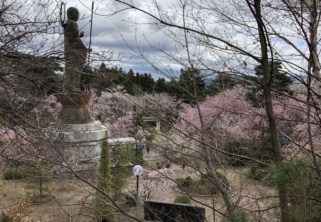 しゃくなげ祭り