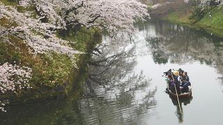 弘前さくらまつり　念願叶った弘前公園での花見は最高