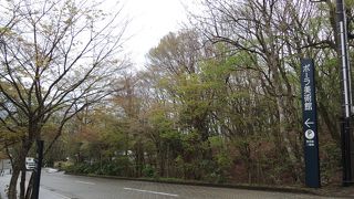 広くて明るくて綺麗で素敵な美術館