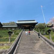 鳥居に次ぐ鳥居、階段を山ほど登る