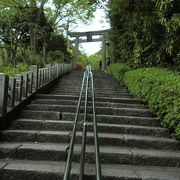 桜の時期は過ぎてしまいましたが・・・