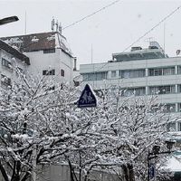 ホテル入口より。