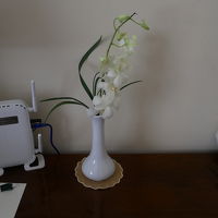 デスク WiFiアクセスポイント、花