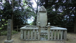 絶景！と言いたいところですが・・・