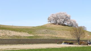 白石稲荷山古墳