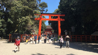 下鴨神社の参道に広がる静かな森。