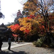秋の紅葉がきれいな神社です。