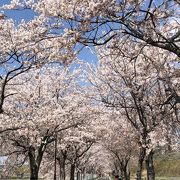 日本で最も美しいサイクリングロード．．．かも