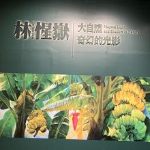 台中出身の画家・林惺嶽さんの特別展