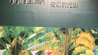 素敵な建物と展示