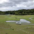 敷地が広大で癒されます