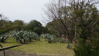 夏は気持ちよさそう