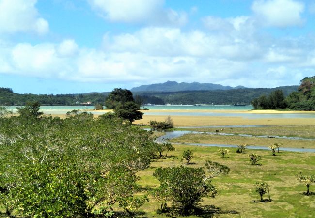 2つの島に囲まれた大きな内海。