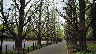 かなり広い場所です