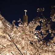 満開の桜の上に十字架が光っていました