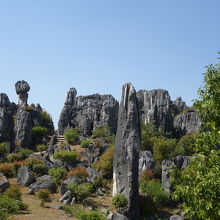 環林路から見た景色