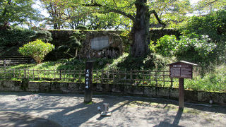 会津なら、詞のイメージにぴったりです