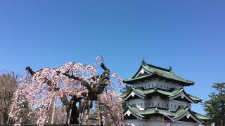 桜祭り直前の弘前城