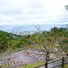 展望台からの眺めです