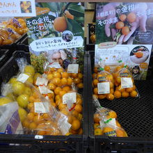 試食できたとても甘い金柑を購入しました