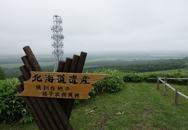 根釧台地の格子状防風林 クチコミ アクセス 営業時間 中標津 フォートラベル 根釧台地の格子状防風林 クチコミ アクセス 営業時間 中標津 フォートラベル