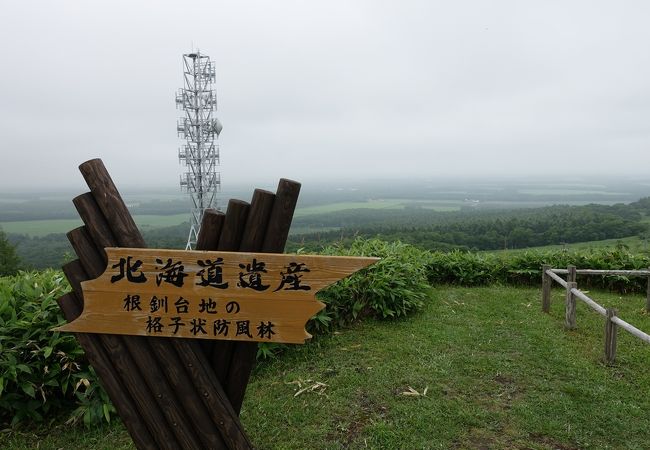 開陽台からではやや分かりにくい