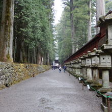 杉並木と石灯篭が、いい雰囲気です。