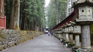 印象的なのは二荒山神社までの長い参道とその脇に続く杉並木と石灯篭でした。