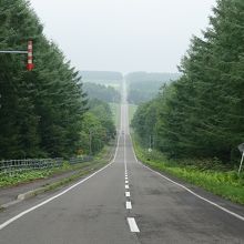 いかにも北海道らしい風景