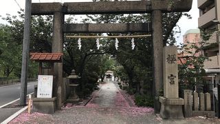 桜の木が多い神社