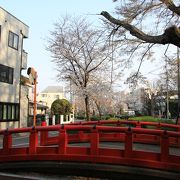 朱色の太鼓橋と蛇崩川緑道の桜並木のコラボ