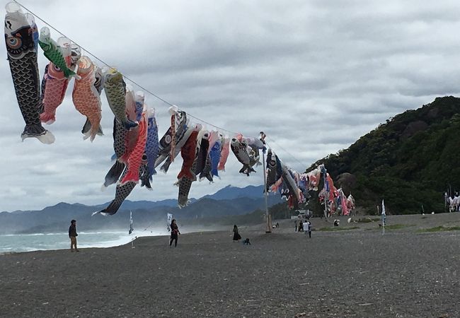 こいのぼりの丹生川渡し