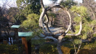 優れた造園技術