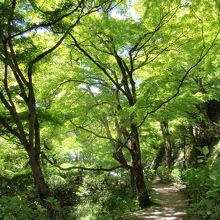 談山神社緑がきれい