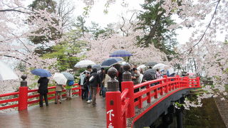 撮影スポットになっていました