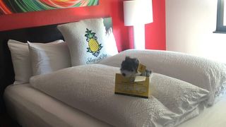 Staypineapple at Hotel FIVE