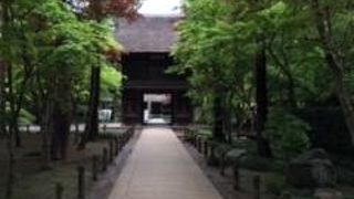 自然林が豊かなお寺