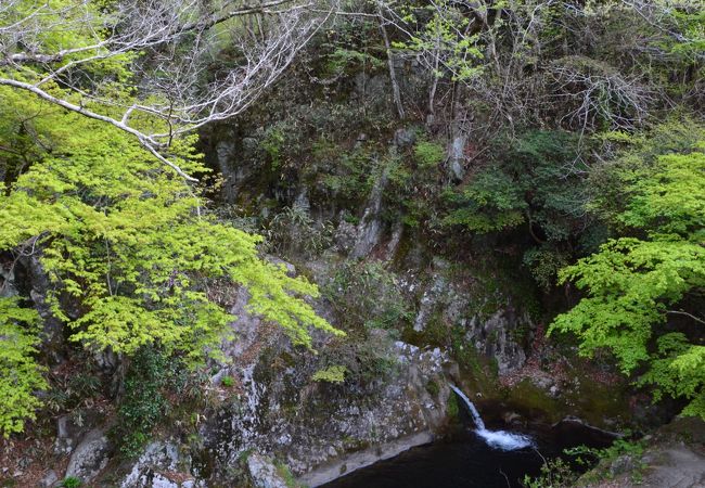 花貫渓谷にある吊り橋の下にある滝