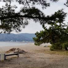 海岸沿いは白砂の浜です
