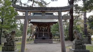 早朝の清々しい参拝