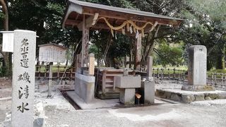 不思議な湧水です