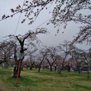 もりまち桜まつり