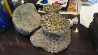 おすすめです！