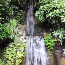 庭には滝もあります。