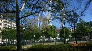 大きな観覧車がありました！