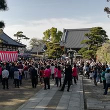 境内はいつまでも華やいだ雰囲気でした